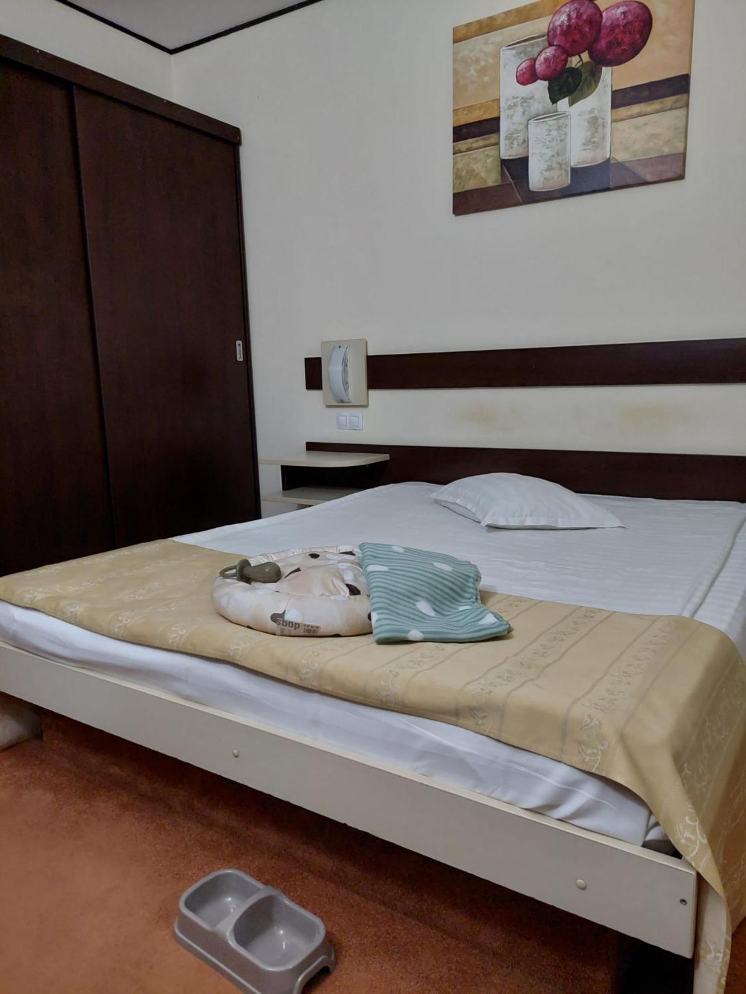 Hotel Rapsodia City Center Botoșani Bagian luar foto