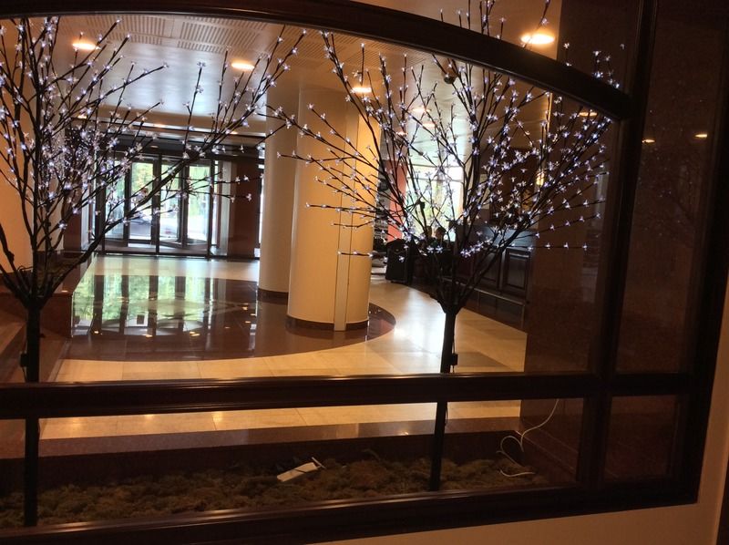 Hotel Rapsodia City Center Botoșani Bagian luar foto